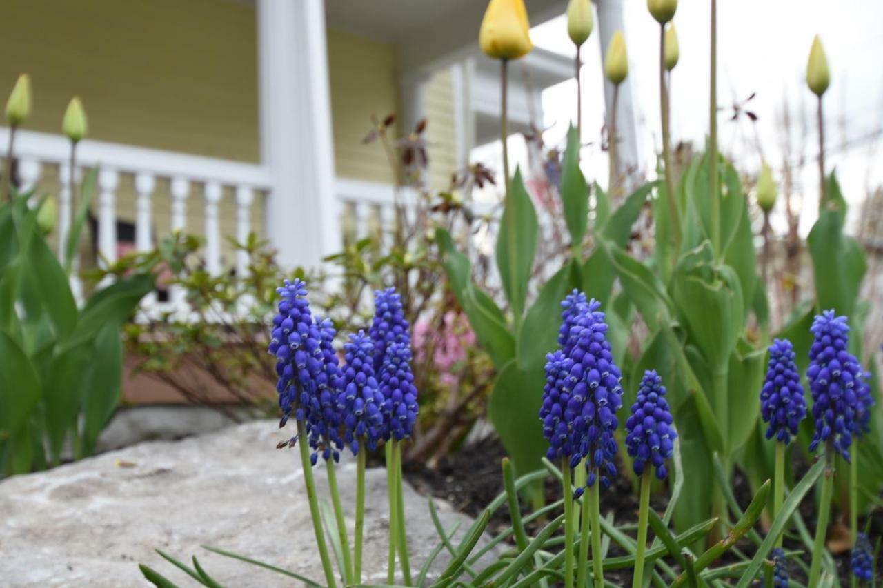 34 State "Historic Luxury Suites" Skaneateles Dış mekan fotoğraf